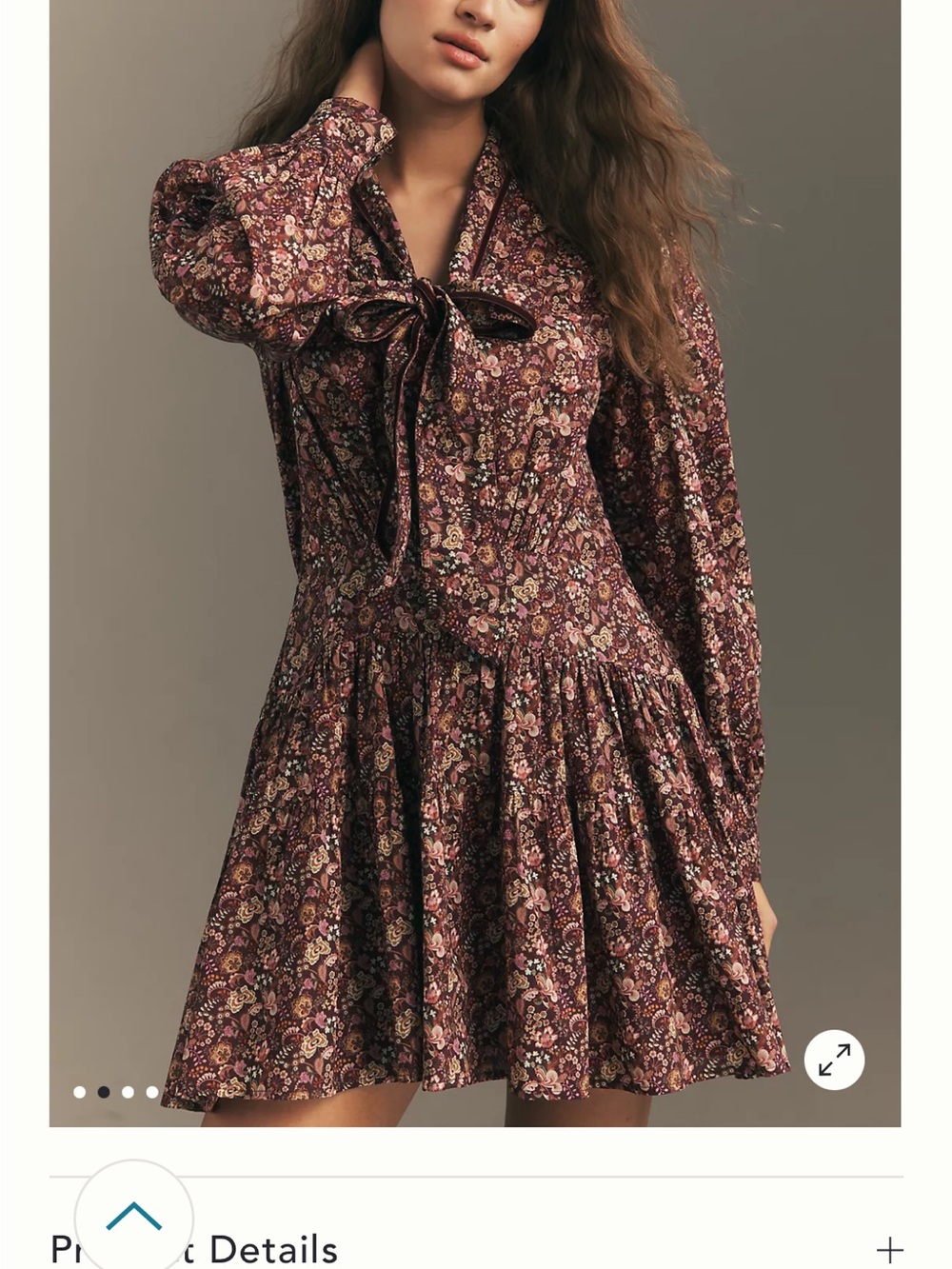 Anthropologie/Love The Label Burgundy Floral Tie-Neck Mini Dress